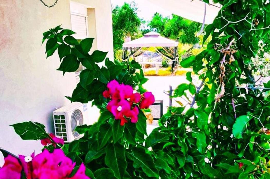 Casa Katina , Villa In Lagana, Agrilia Area Laganas Exterior foto